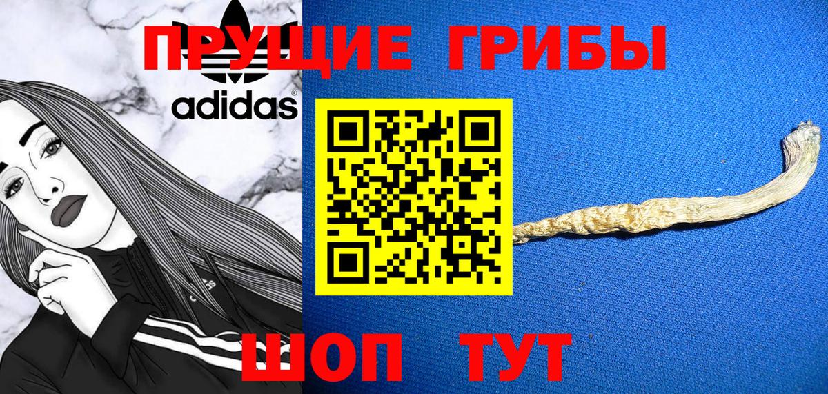Галлюциногенные грибы Cubensis  Вход с VPN  Псилоцибиновые грибы GOLDEN TEACHER  Минеральные Воды 